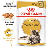 Royal Canin Cat - Pouch Box Maine Coon 12x85g