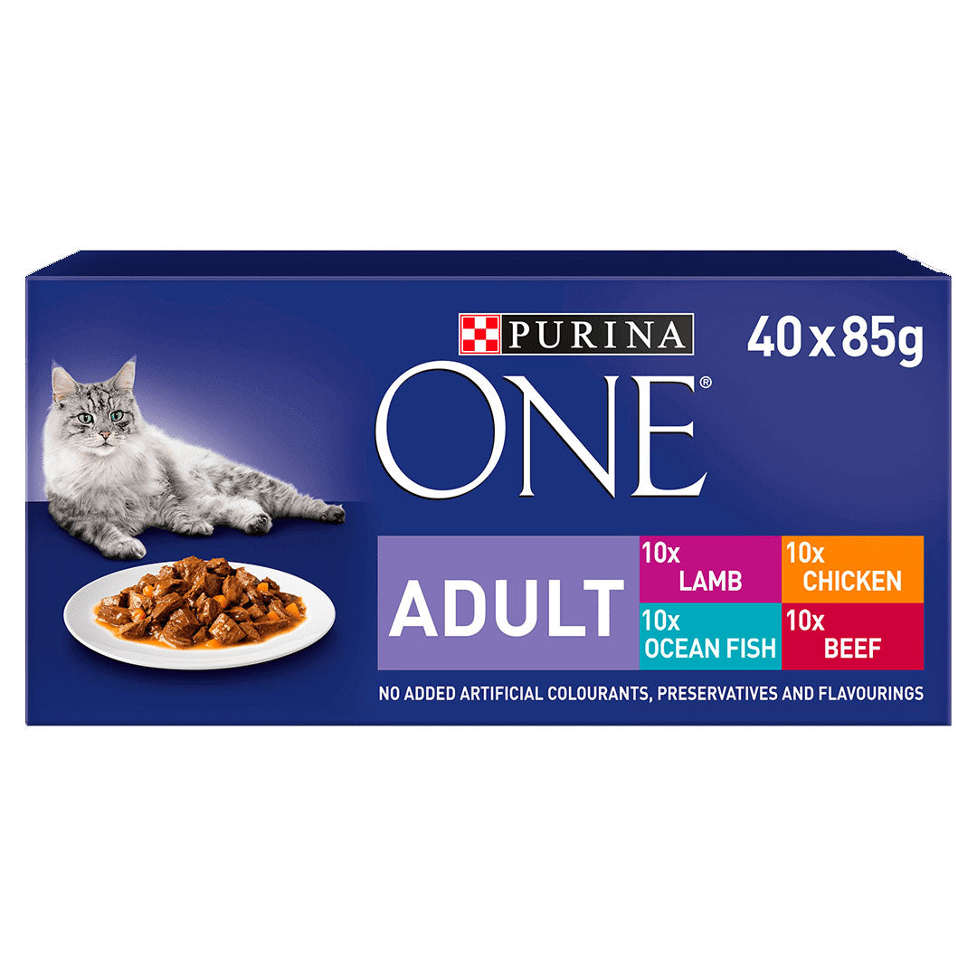 Purina ONE Adult Mini Fillets Mixed Selection in Gravy Wet Cat Food 40x85g