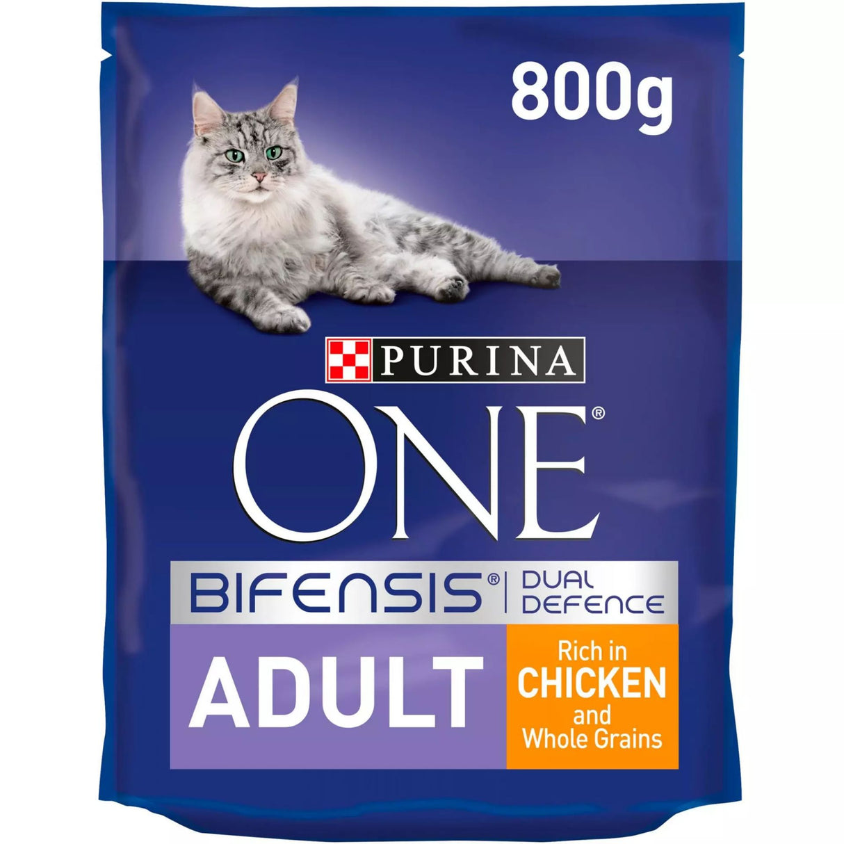 Purina ONE Adult Chicken and Whole Grains Dry Cat Food 800g