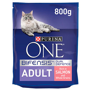 Purina ONE Adult Salmon and Whole Grains Dry Cat Food 800g