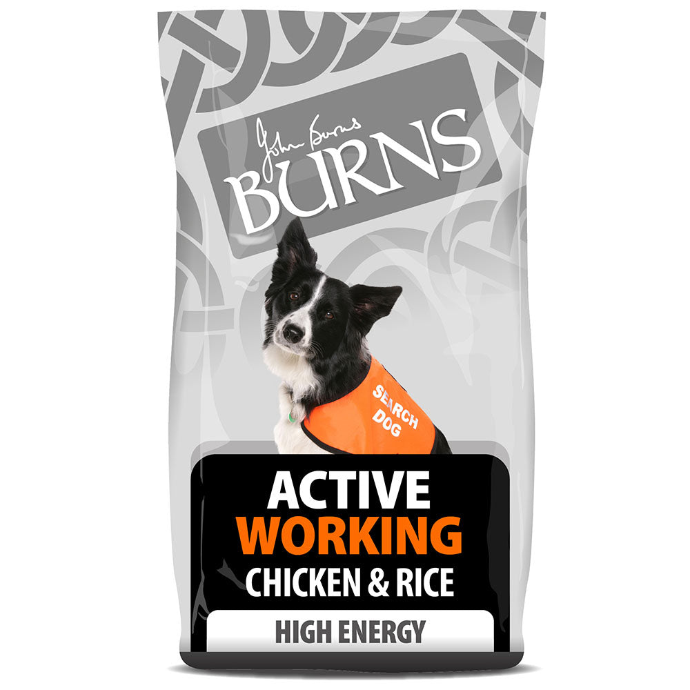 Burns Dog - Adult Active Chicken & Rice 12kg