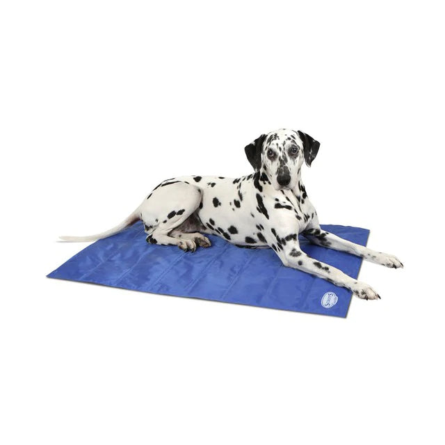 Scruffs Cooling Mat Blue Large