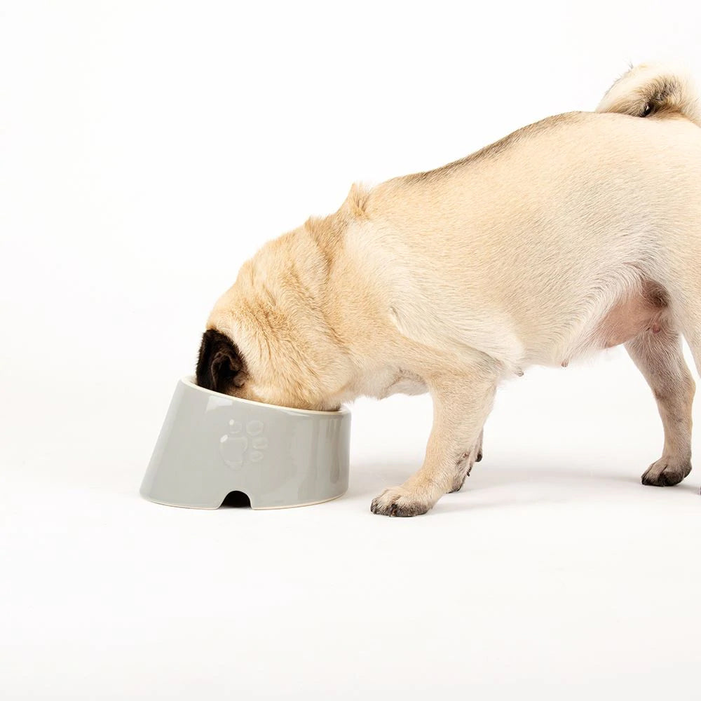 Scruffs Classic Flat Faced Pet Bowl 18cm Grey