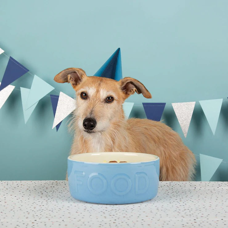 Scruffs Classic Food Bowl 19cm Blue
