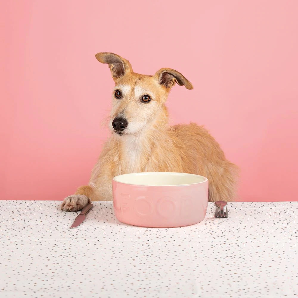 Scruffs Classic Food Bowl 19cm Pink