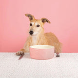 Scruffs Classic Food Bowl 19cm Pink