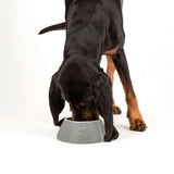 Scruffs Classic Long Eared Dog Bowl 21cm Grey