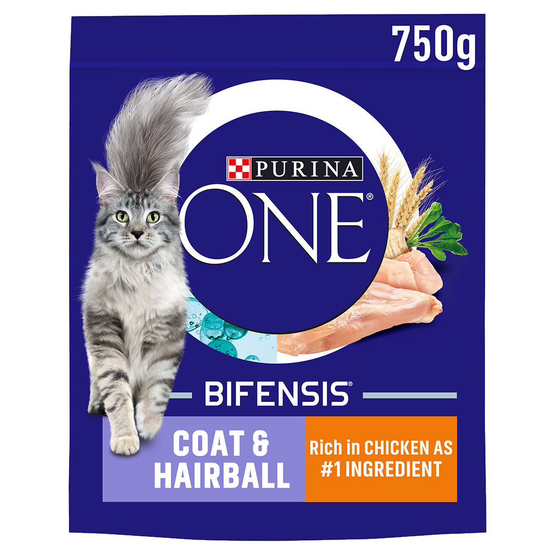 Purina ONE Adult Coat & Hairball Chicken & Whole Grains Dry Cat Food 750g