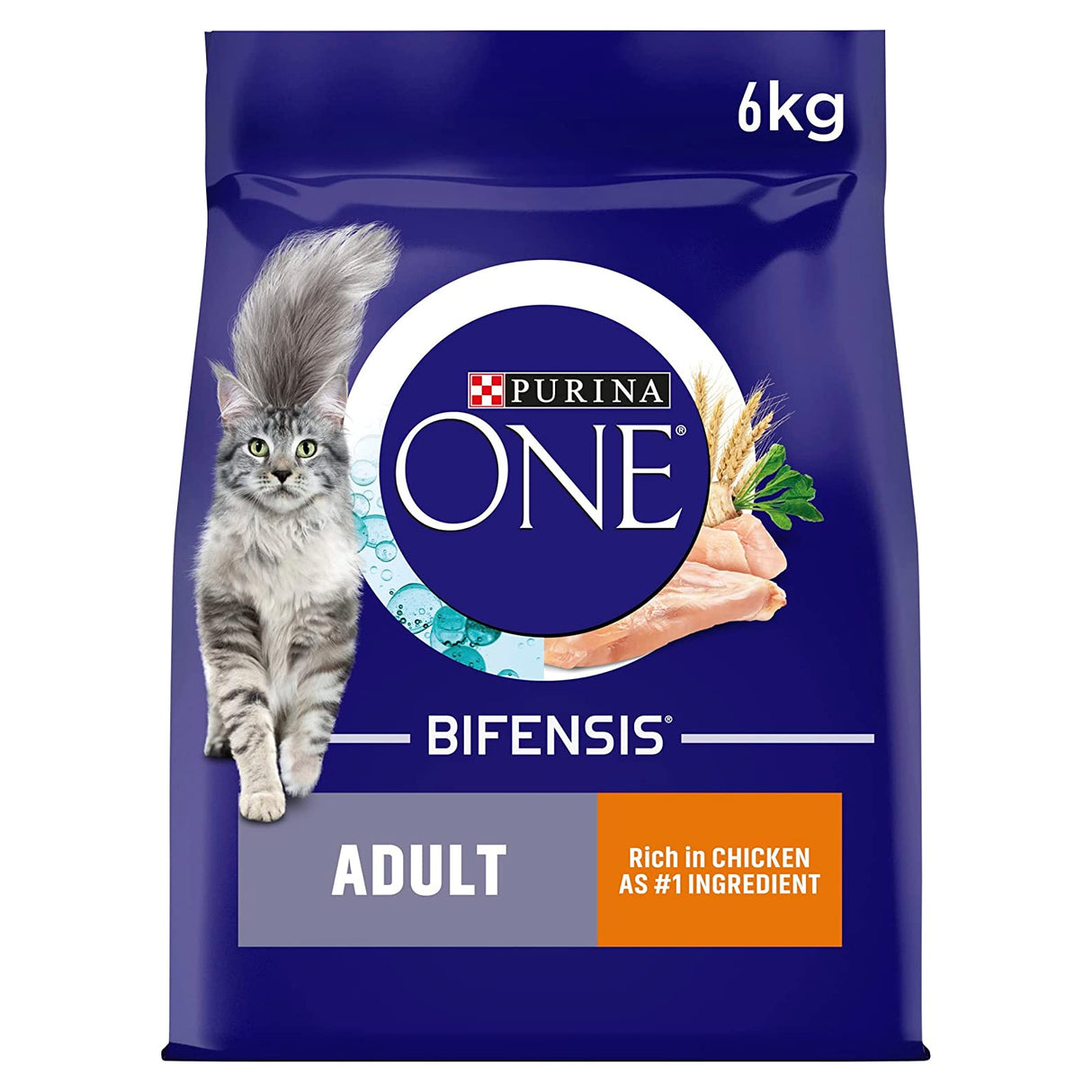 Purina ONE Adult Chicken and Whole Grains Dry Cat Food 6kg