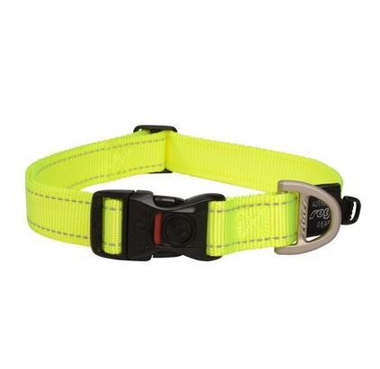 Rogz Classic Collar Dayglo XL 43-70cm