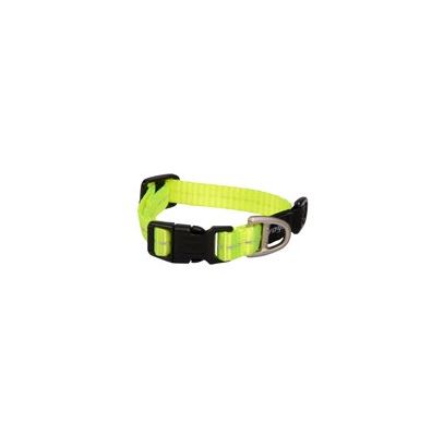 Rogz Classic Collar Dayglo XS 16-22cm