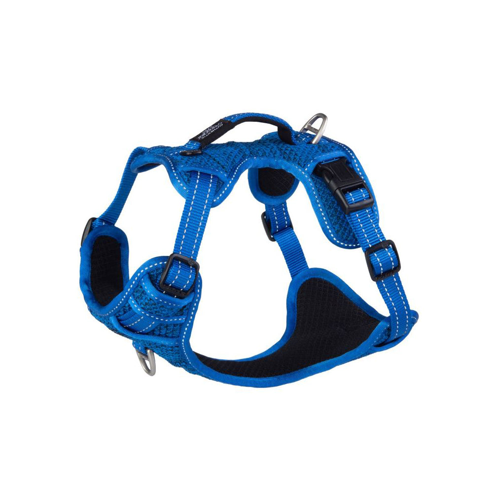 Rogz Explore Harness Small Blue