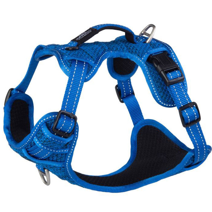 Rogz Explore Harness XL Blue