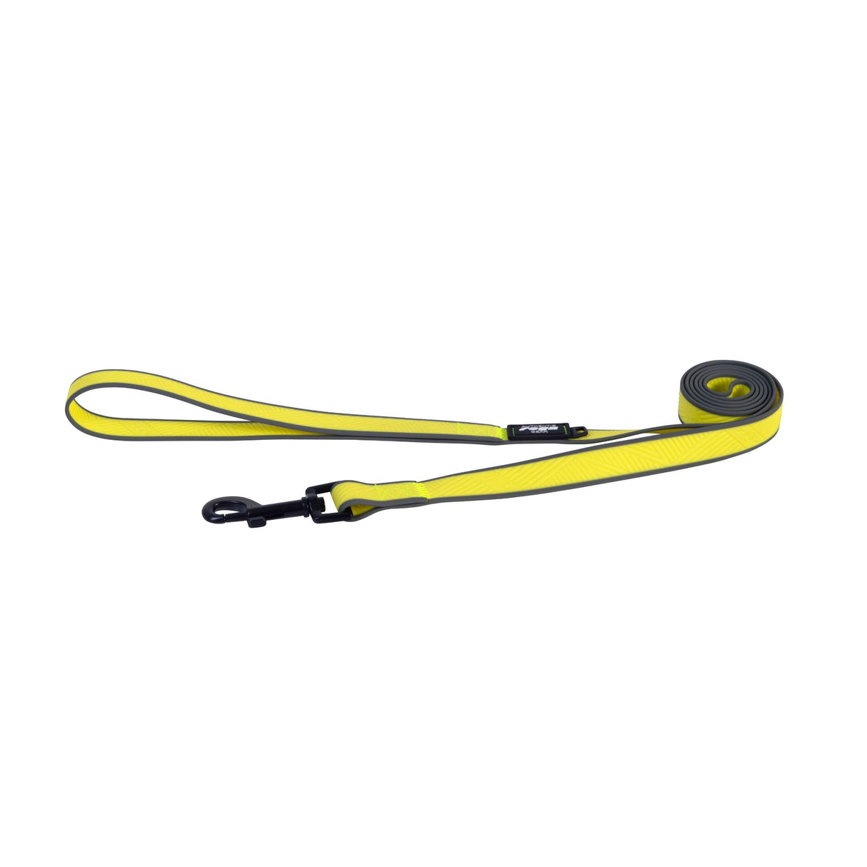 Rogz Amphibian Classic Lead Dayglo Large