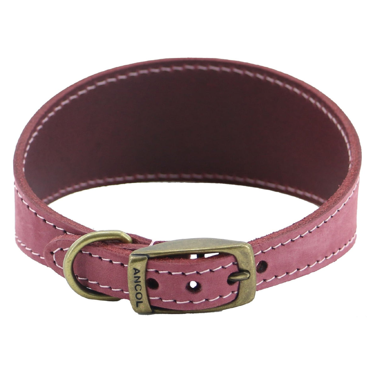 Ancol Timberwolf Greyhound Collar Raspberry 34-43cm Size 4