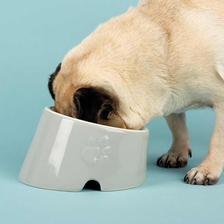 Scruffs Icon Flat Faced Pet Bowl 18cm Light Grey