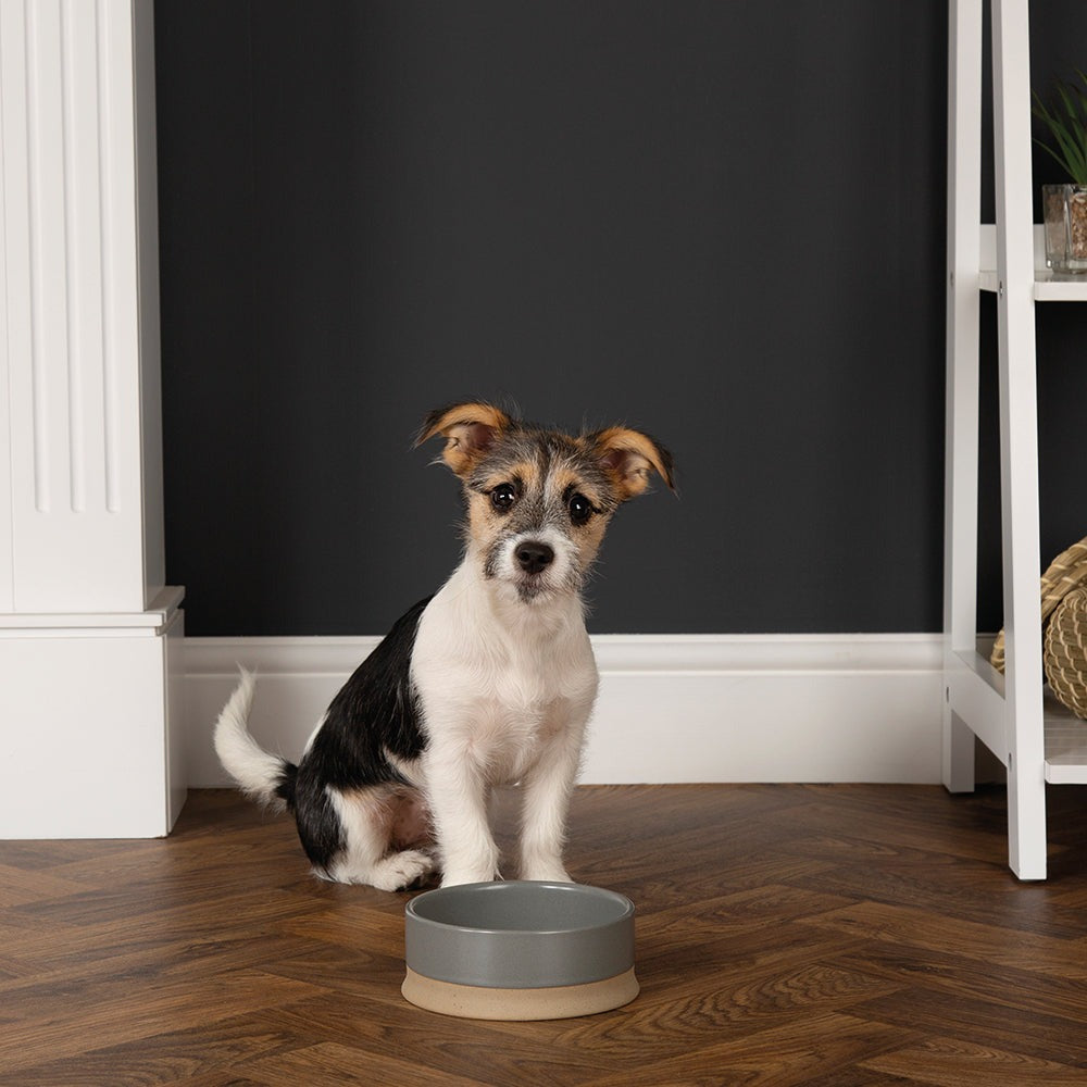 Scruffs Scandi Bowl 16cm Grey