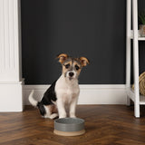 Scruffs Scandi Bowl 16cm Grey