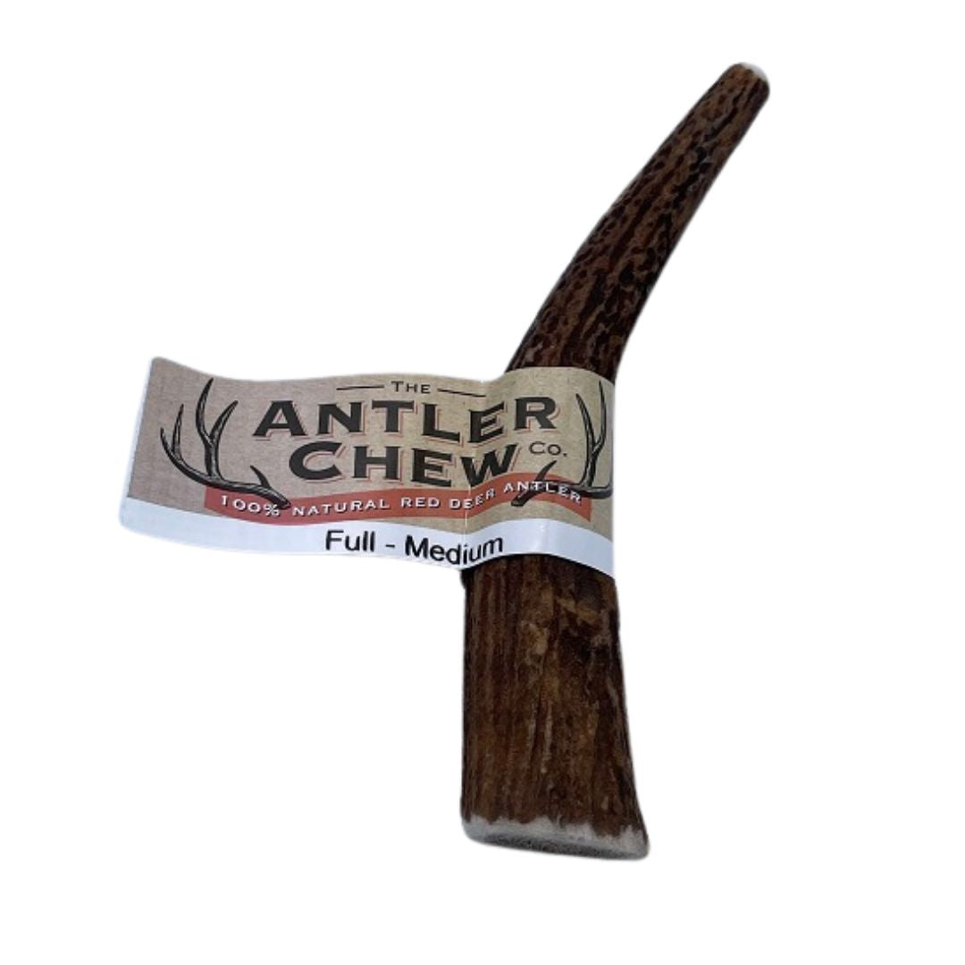 The Antler Chew Co Full Antler Medium