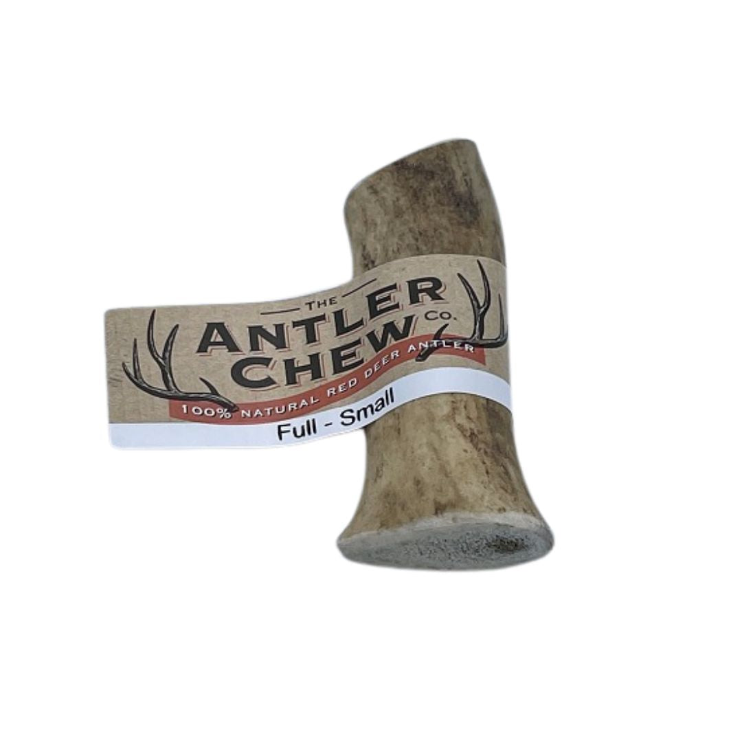 The Antler Chew Co Full Antler Small