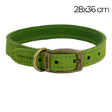 Ancol Timberwolf Leather Collar Green 28-36cm Size 3