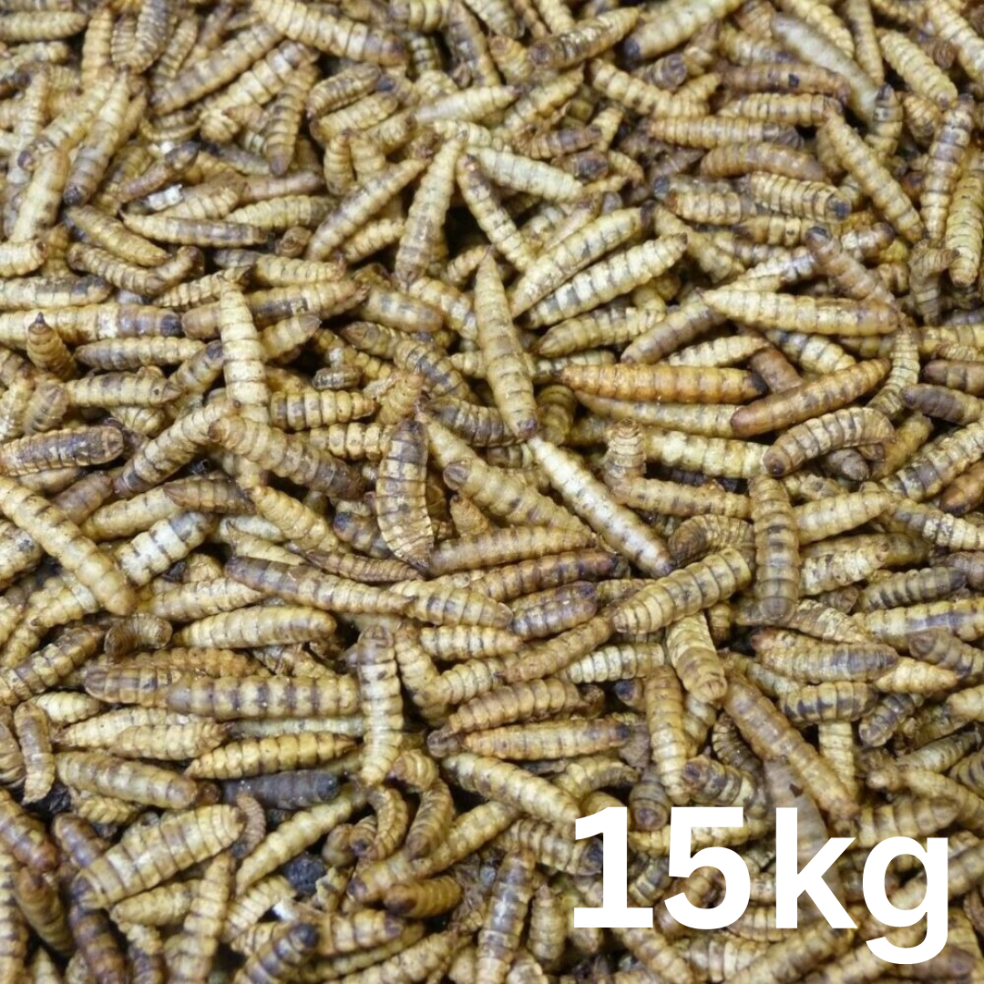 Calciworms Box 15kg