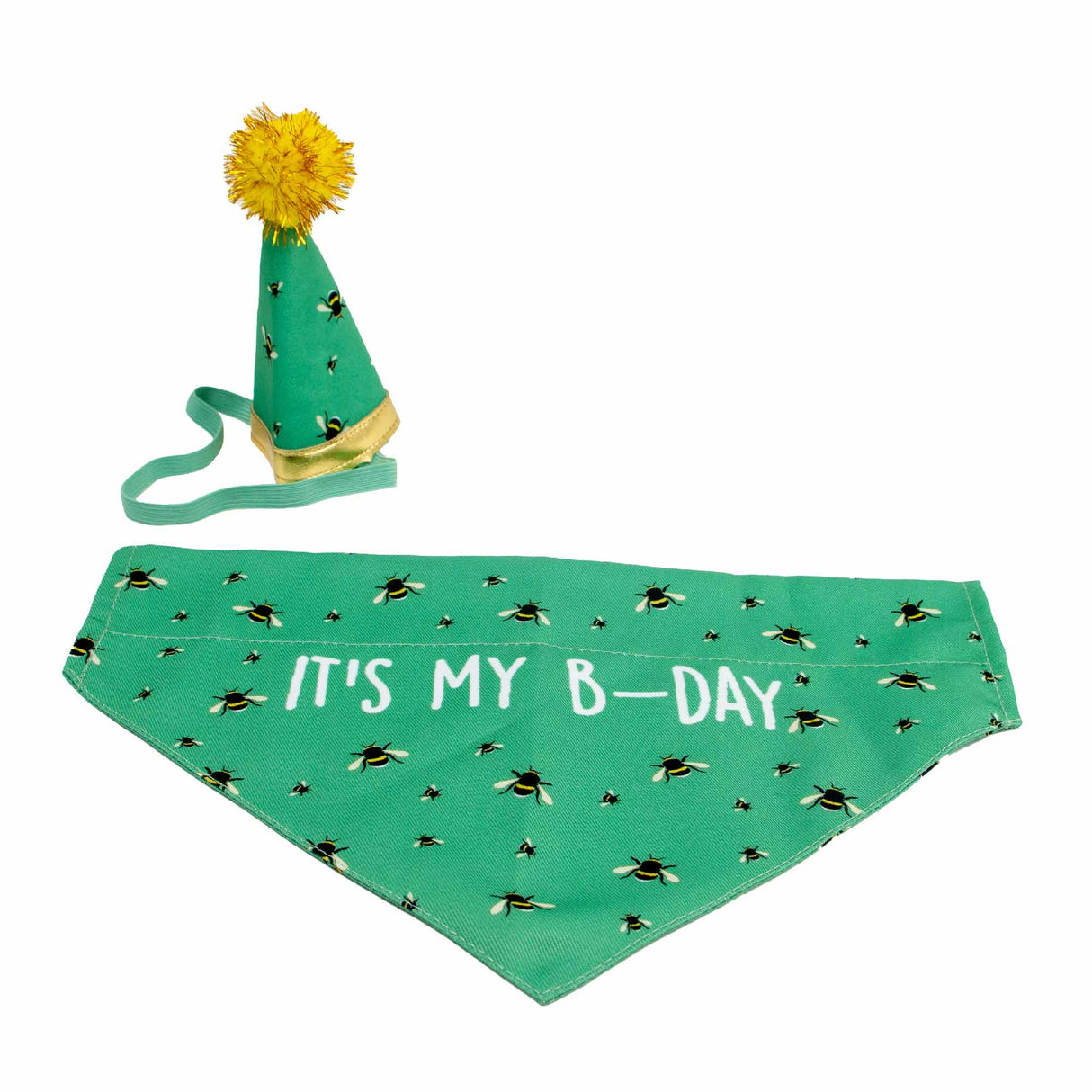 Ancol B-Day Hat & Bandana Set