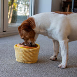 Ancol Pawty Snuffle Yellow Cupcake