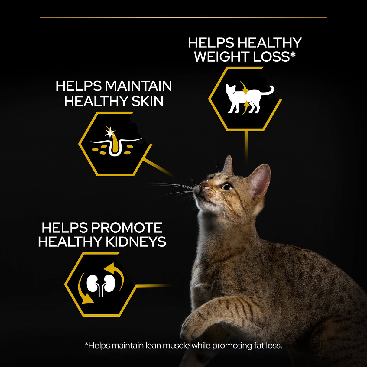 Pro Plan Cat - Adult Light Turkey 3kg