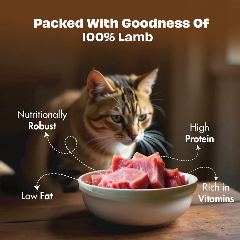 Pawfect Nature's Feast Freeze Dried Cat Treats Lamb Meat 50g