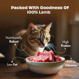 Pawfect Nature's Feast Freeze Dried Cat Treats Lamb Meat 50g