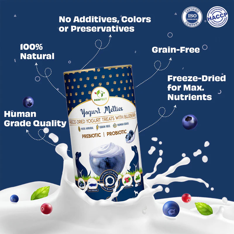 Pawfect Yogurt Melties Pre and Probiotic Dog Treats with Blueberry, Cranberry, Blue Spirulina & Mint 38g