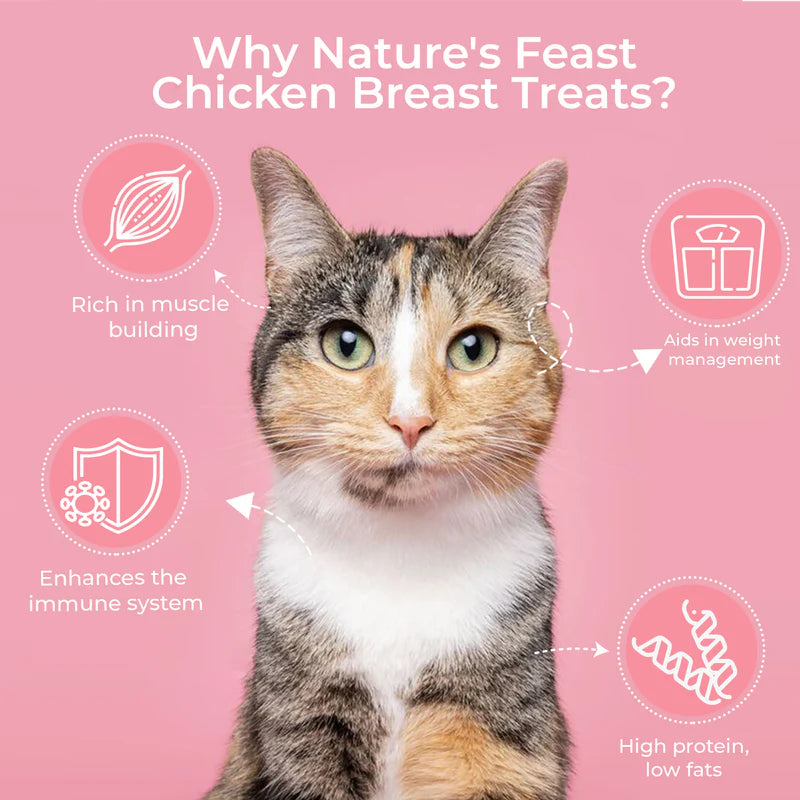 Pawfect Nature's Feast Freeze Dried Cat Treats Chicken Breast 200g