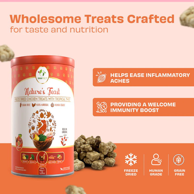 Pawfect Nature's Feast Freeze Dried Dog Treats Chicken With Tropical Twist 150g