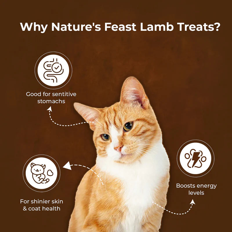 Pawfect Nature's Feast Freeze Dried Cat Treats Lamb Meat 50g