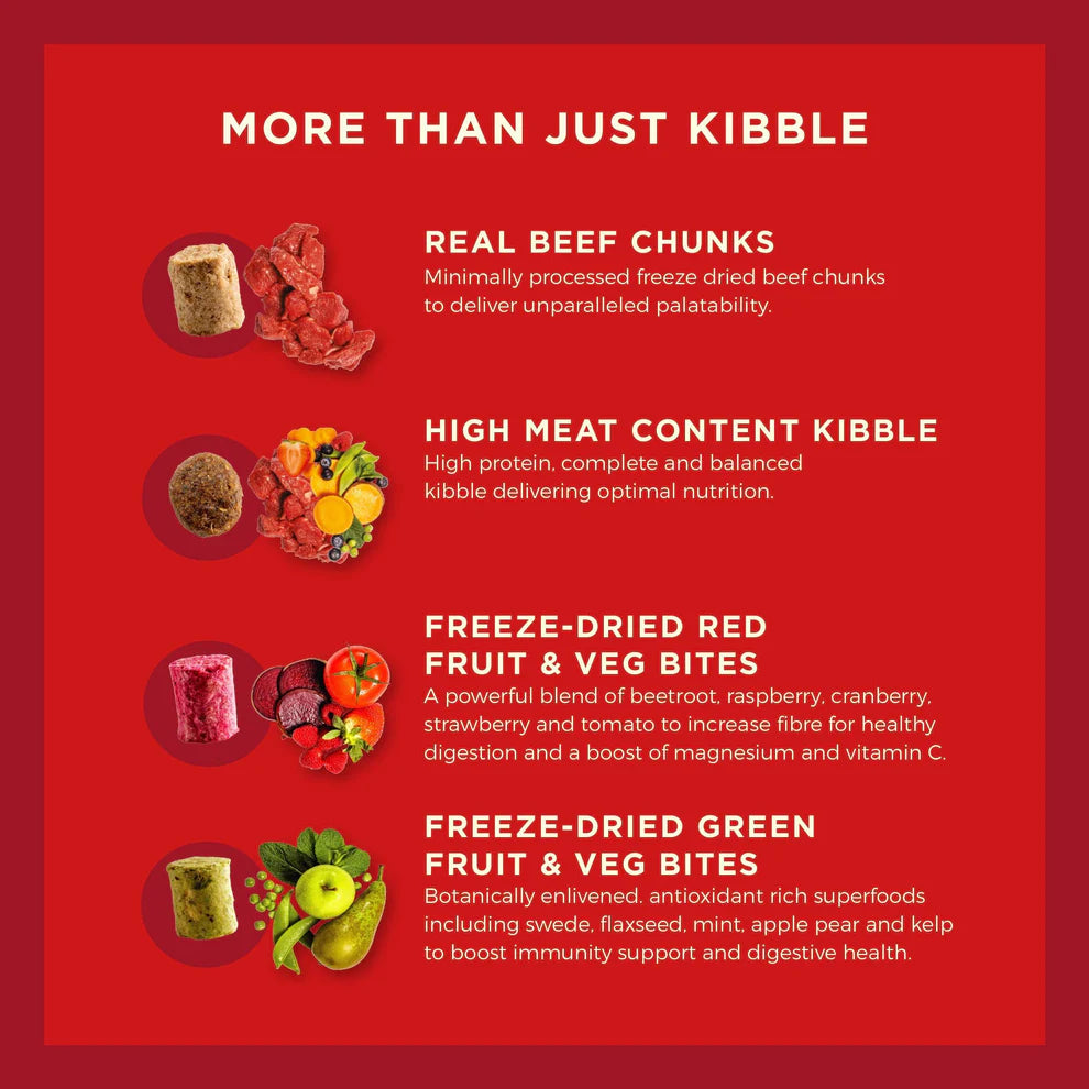 Coya Kibble Plus Adult Beef 1.5kg