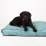 Scruffs Knightsbridge Mattress Medium 80x60cm Turquoise
