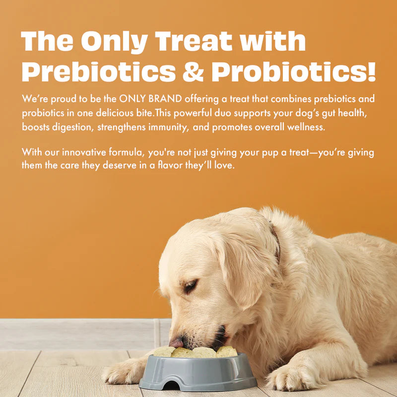 Pawfect Yogurt Melties Pre and Probiotic Dog Treats with Carrot, Flaxseed, Pea & Sweet Potato 38g
