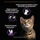 Pro Plan Cat - Kitten Healthy Start Turkey in Gravy 10x85g