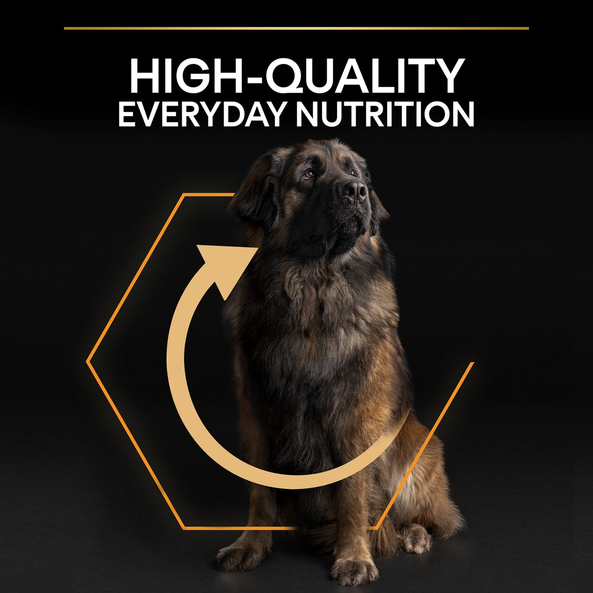 Pro Plan Dog - Adult Large Robust Everyday Nutrition Chicken 14kg