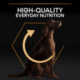 Pro Plan Dog - Adult Large Athletic Everyday Nutrition Chicken 14kg