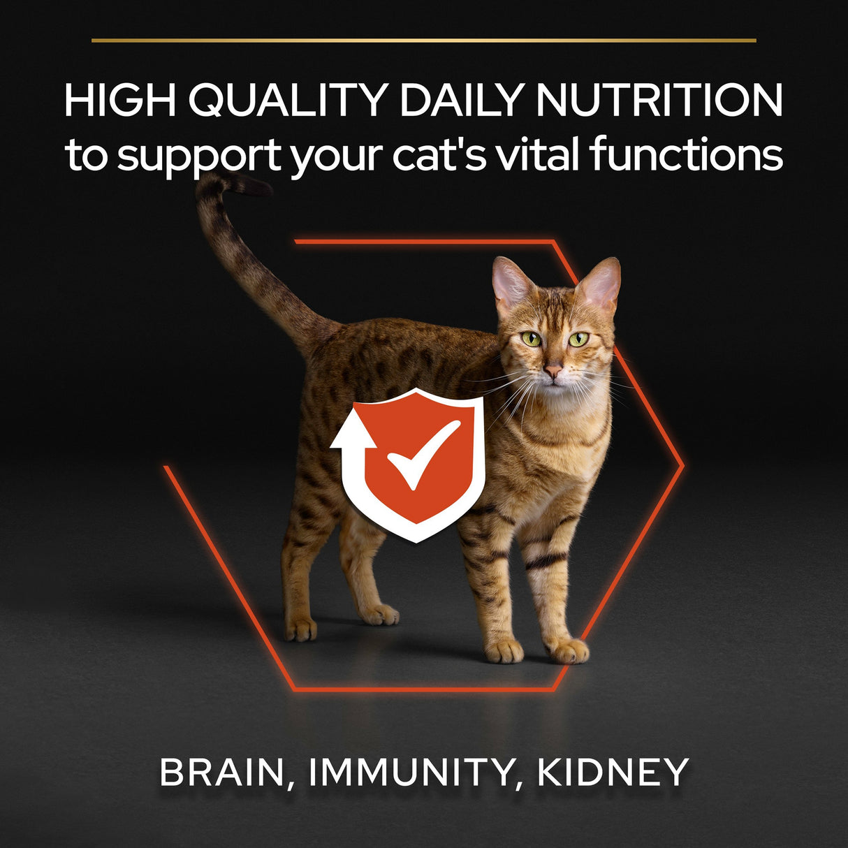 Pro Plan Cat - Adult Vital Functions Salmon & Rice 3kg