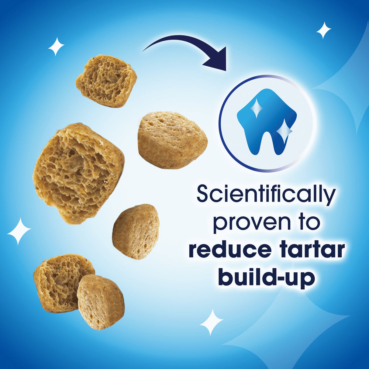 Dentalife Cat Chicken 40g