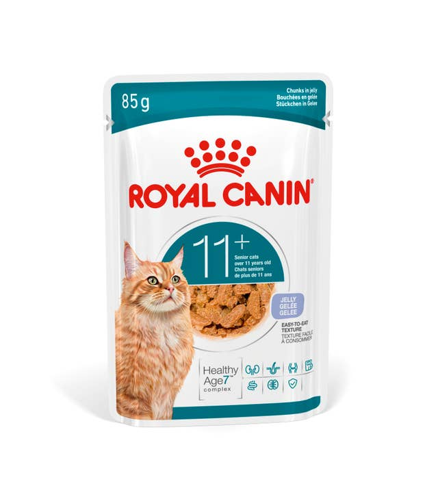 ROYAL CANIN AGEING 11 Jelly | 4er Pack | 4 x 12 x 85 g | Nassfutter für Senior Katzen ab dem 11. Lebensjahr | Formel mit dem HealthyAge7™ Complex | Stückchen in Gelee ROYAL CANIN AGEING 11 Jelly | 4er Pack | 4 x 12 x 85 g | Nassfutter für Senior Katzen ab dem 11. Lebensjahr | Formel mit dem HealthyAge7™ Complex | Stückchen in Gelee