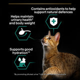 Pro Plan Cat - Adult Sterilised Maintenance Cod Terrine 10x75g