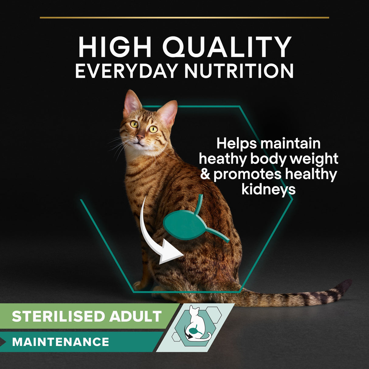 Pro Plan Cat - Adult Sterilised Maintenance Cod Terrine 10x75g
