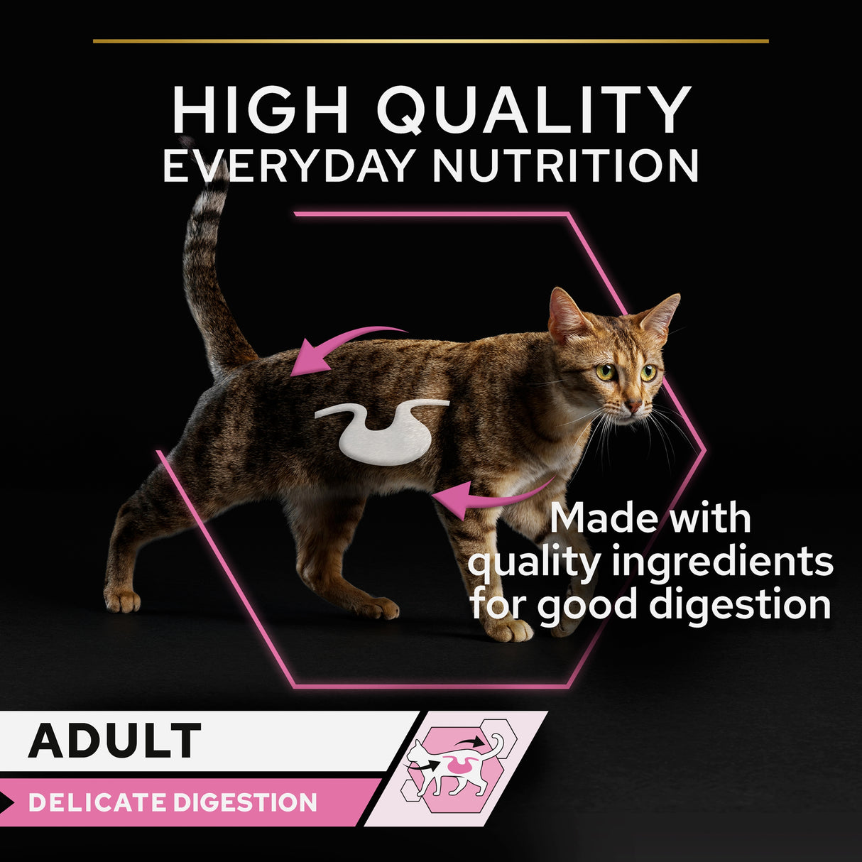 Pro Plan Cat - Adult Delicate Digestion Turkey In Gravy 10x85g
