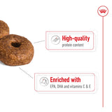 Royal Canin Dog - Medium Ageing 10+ 15kg