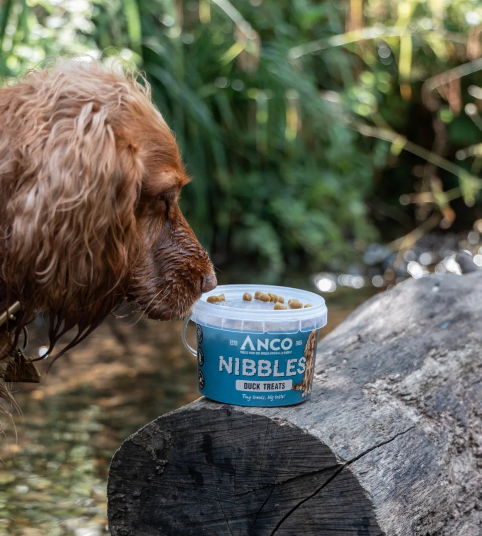 Anco Nibbles Duck Treats 300g
