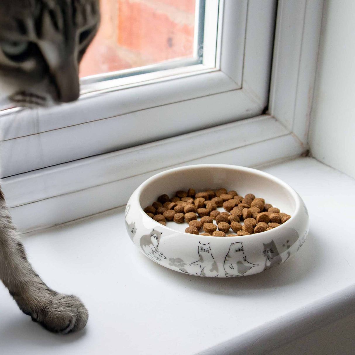 Ancol Curved Edge Cat Dish (Patterned)